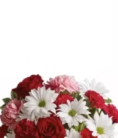 Fresh Flowers Delivery in Burlington | Bloomex Canada