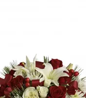 Christmas Centrepieces