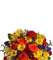 Fresh Flowers Delivery in Vancouver | Bloomex Canada