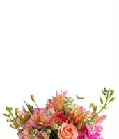 The Mason Jar Collection