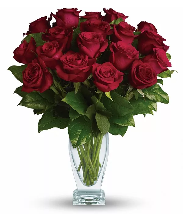 bee様へ♥5/18 プルズ Bloomex - Order Flowers Quickly and Securely for Canada Delivery