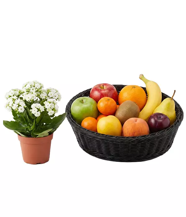 Bloomex - Order Flowers Quickly and Securely for Canada Delivery