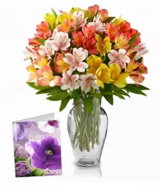 100 Blooms of Peruvian Lilies I
