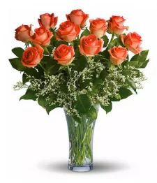 One Dozen Long Stemmed Orange Roses