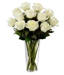 One Dozen Long Stemmed White Roses