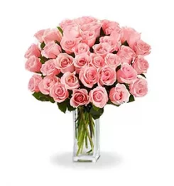 Three Dozen Long Stem Pink Roses