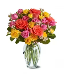 Designer Collection IV