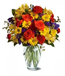 Designers Collection II