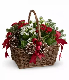 Joyeux Noel Planter Basket