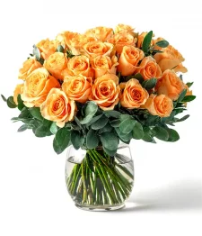 Three Dozen Long Stem Orange Roses