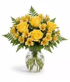 Couchers de Soleil Merveilleux