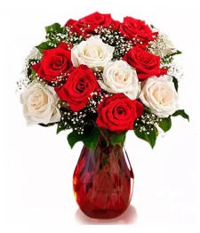 One Dozen Candy Cane Roses