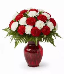 Two Dozen Candy Cane Carnations