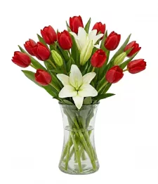Tulips & Lilies