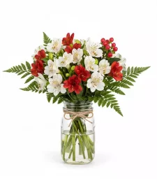 100 Blooms of Holiday Alstroemeria in Mason Jar