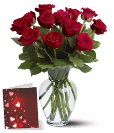 One Dozen Long Stem Red Roses