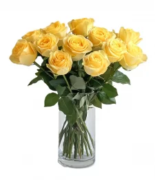 One Dozen Long Stemmed Yellow Roses