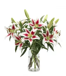 Touch of Class Bouquet