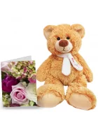 Teddy and Card Special